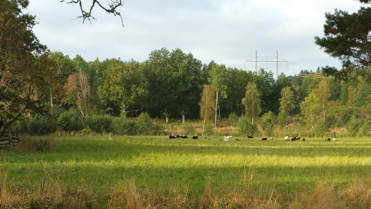 Villa Bitterna Åkatorp Esterno foto